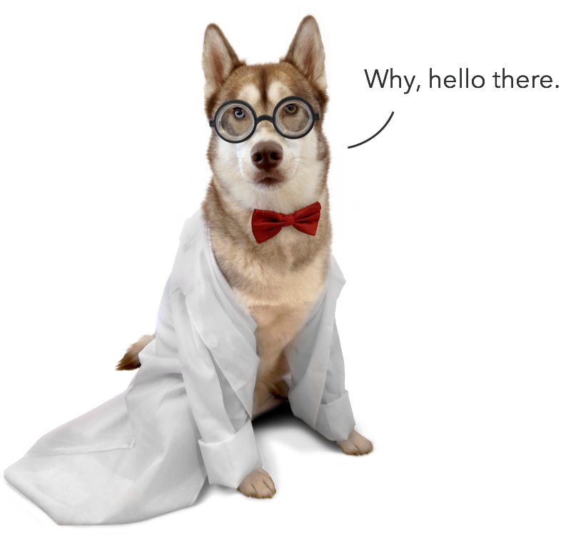 Oskar, the husky dog, dressed like a scientist, saying "Why, hello there."